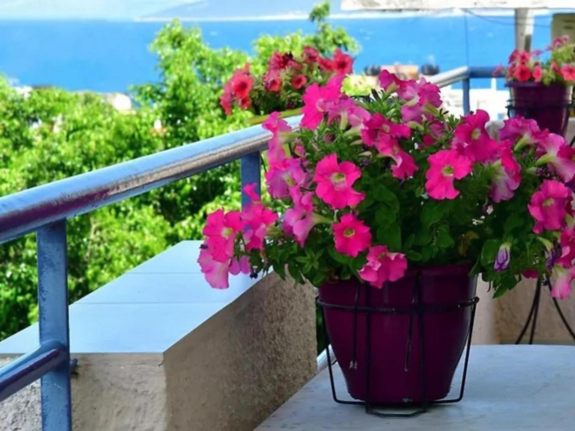 Konstantinos Apartments تولو المظهر الخارجي الصورة